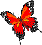 Бабочка4